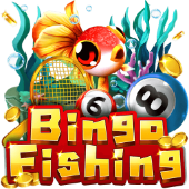 Câu Cá Bingo SC880