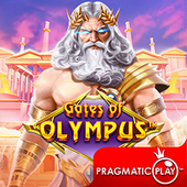 Cổng Olympus SC880